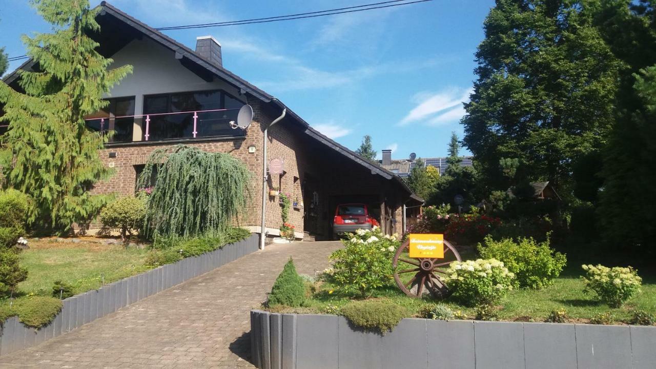 Ferienwohnung Virginija Ditscheid エクステリア 写真