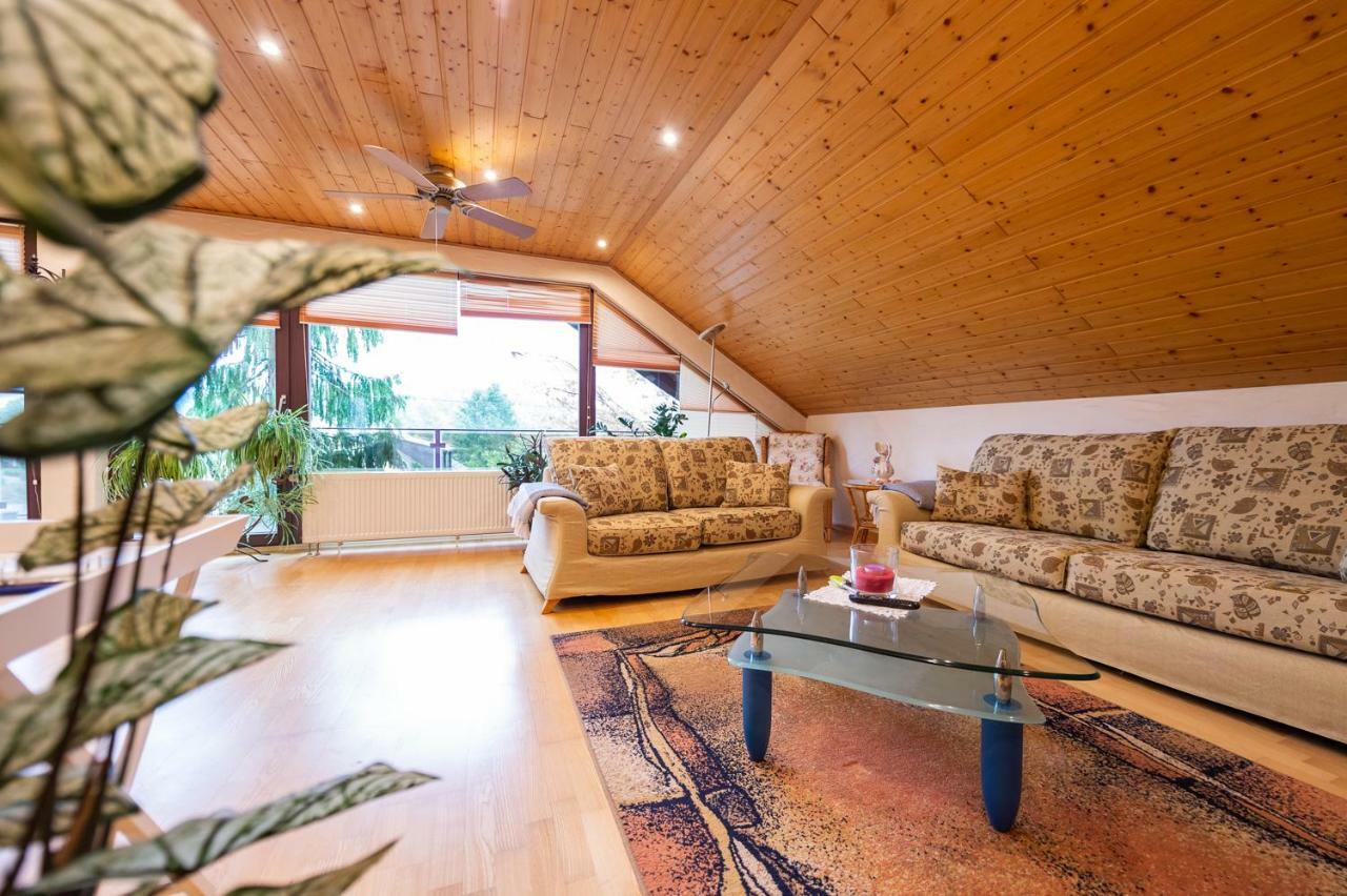 Ferienwohnung Virginija Ditscheid エクステリア 写真