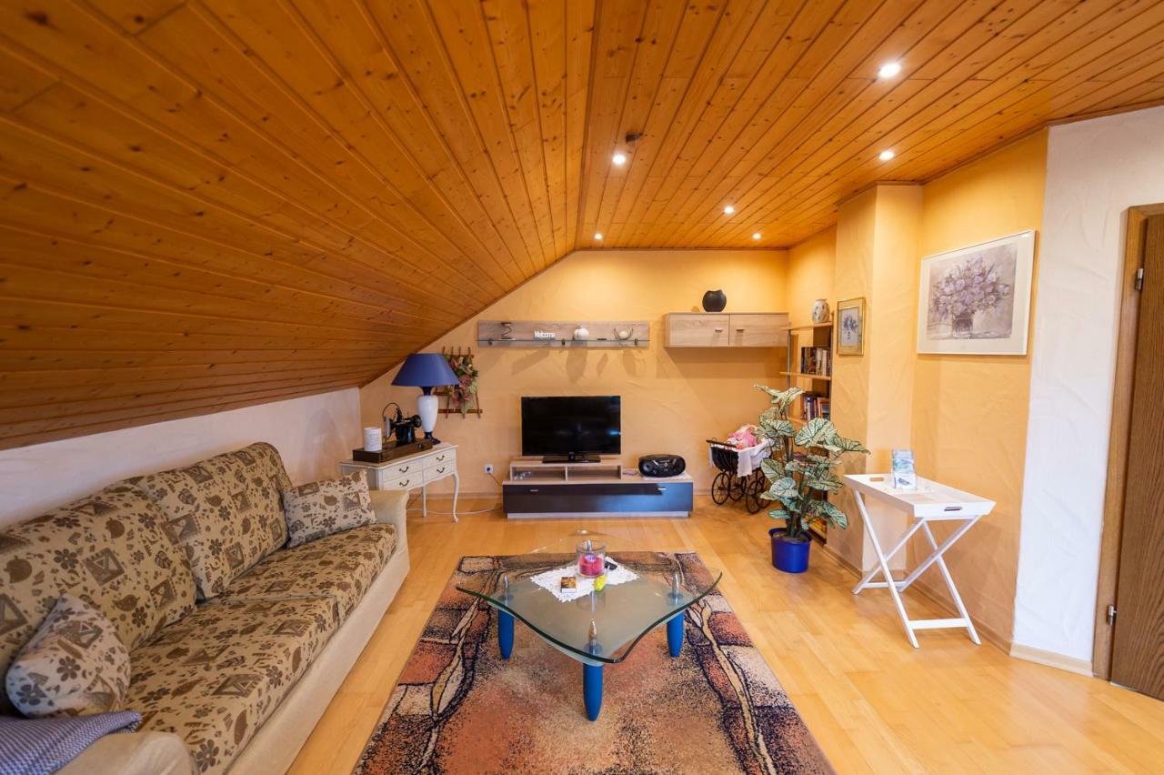 Ferienwohnung Virginija Ditscheid エクステリア 写真