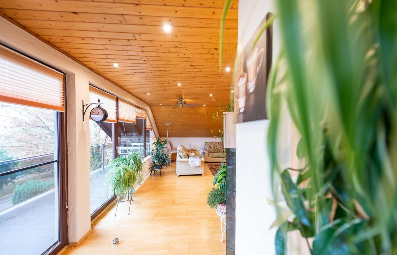 Ferienwohnung Virginija Ditscheid エクステリア 写真